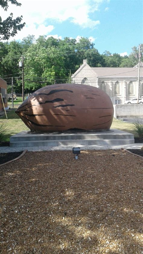 Worlds Largest Pecan Brunswick Mo Worlds Largest World Brunswick