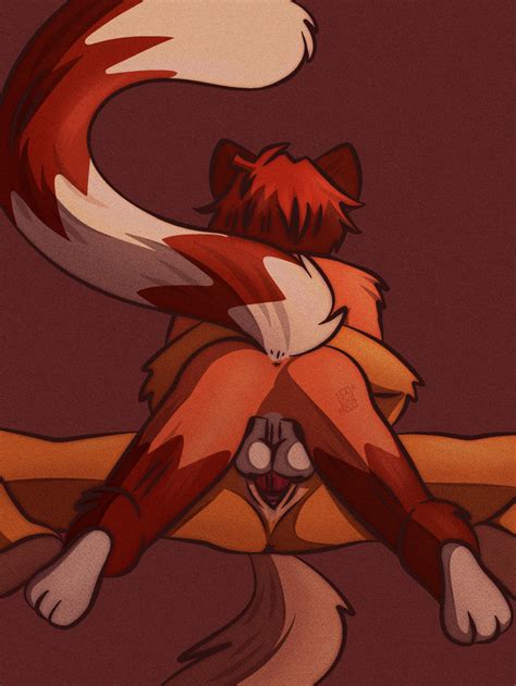 Rule 34 Absurd Res Ailurid Anthro Anus Bodily Fluids Duo Female Fluffy Fluffy Tail Genital