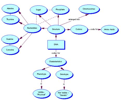 Heredity Concept Map