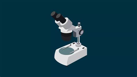 Microscope Biology Notes Online