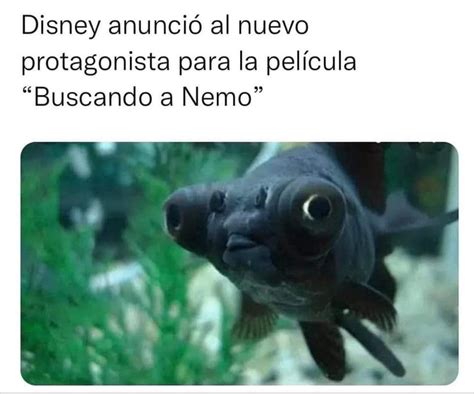 Disney anunció al nuevo protagonista para la película Buscando a Nemo