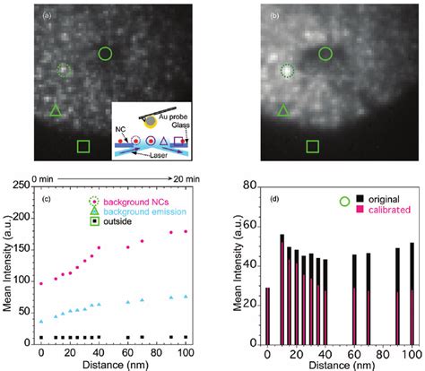 Tirfm Images Of The Cdse Zns Nc Monolayers On Aptes Modified Glasses At