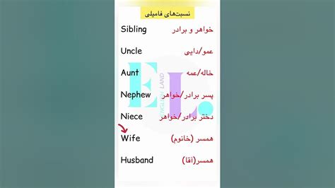 نسبت‌های خانوادگی به زبان انگلیسی Shorts Learningenglish