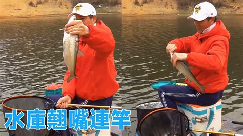 【鄧剛釣魚】廣東潮州山體水庫釣魚，沒想到翹嘴連竿，今天收穫頗豐！【天元邓刚】 Youtube