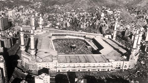 Mature Aerial Over Telegraph