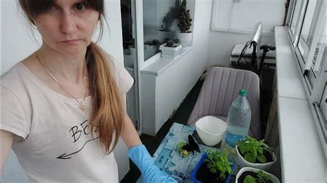 Посадка петунии в горшки - YouTube