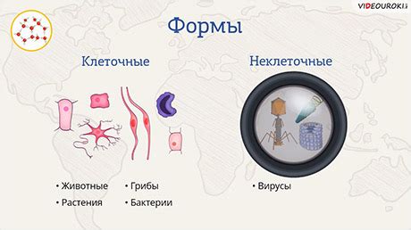 География 5 класс ФГОС