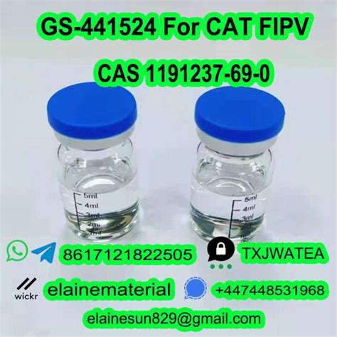 GS 441524 CAS 1191237 69 0 Injection For Cat FIPV