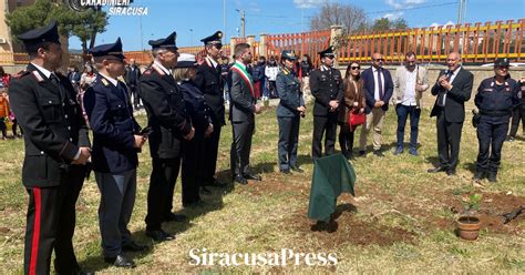 Floridia Piantata Dai Carabinieri La Gemma Del Giudice Falcone