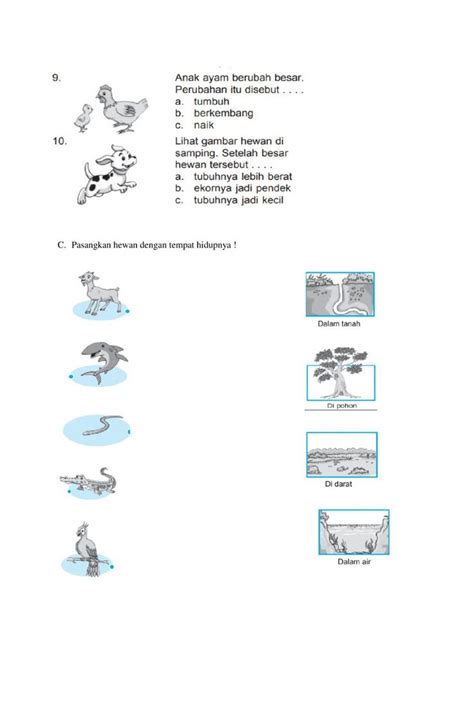 Hewan Dan Tempat Hidup Worksheet