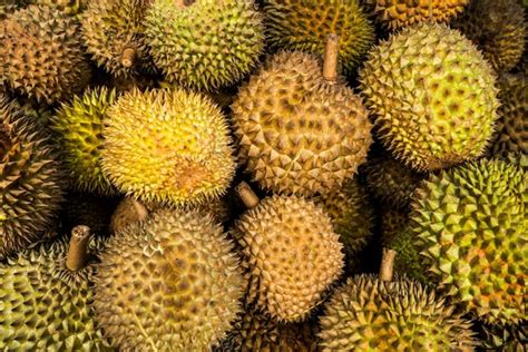 Premium Photo Durian Background Mao Shan Wang Musang King