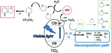 Visible Light Induced Minisci Reaction Through Photoexcitation Of