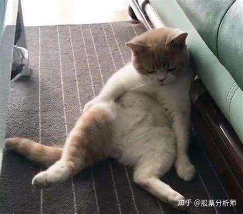 为什么公猫绝育后还会出现发情迹象？ 知乎