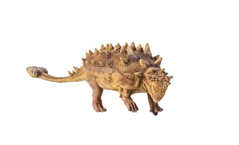 Premium Photo Ankylosaurus Dinosaur On Isolated Background