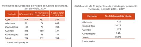 El Sector Del Vino De La Región Aporta Más Del 4 6 Al Pib De Castilla