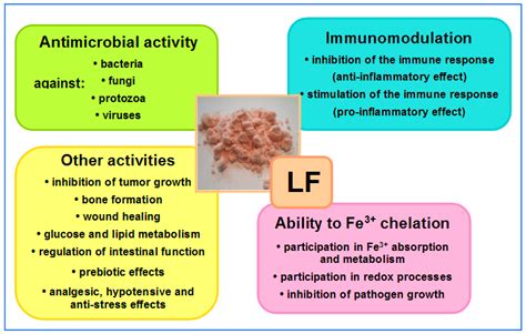 Biomedicines Free Full Text Colostrum And Lactoferrin Protect Against Side Effects Of