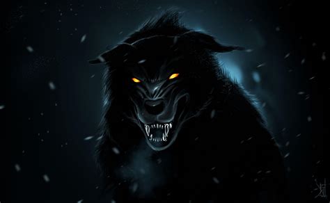 Shadow Wolf Wallpapers Top Free Shadow Wolf Backgrounds Wallpaperaccess