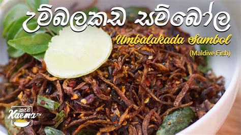 උම්බලකඩ සම්බෝල Umbalakada Maldive Fish Sambol Recipe Youtube