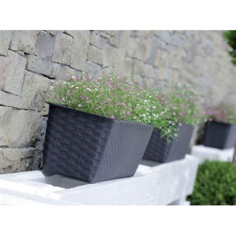 Prosperplast RATOLLA CASE P Blumenkasten Mit Untersetzer 48 9x17 3x15cm