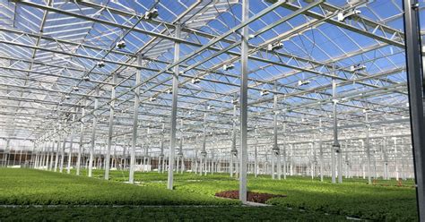 Gotham Greens opens second greenhouse in rapidly redeveloping Pullman ...