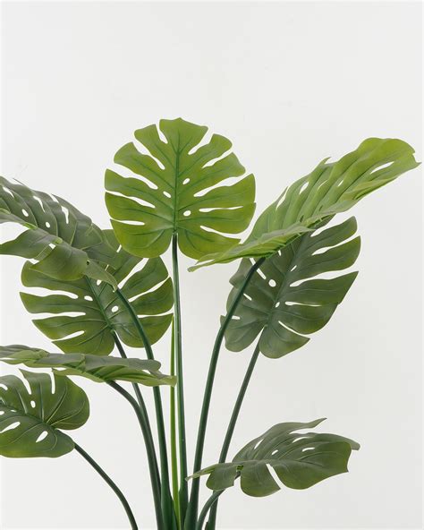 Artificial Tree 70 70 100cm Monstera Deliciosa In PP Pot GS 67722020