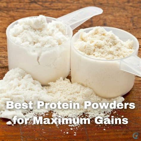 Uncovering the Best Protein Powders for Muscle Gain - Gear Up to Fit