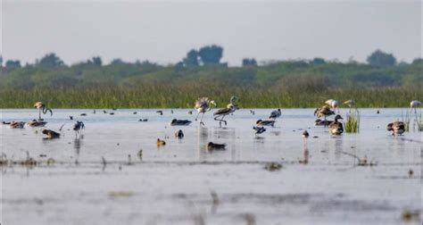 Crater Lake in Ngorongoro Lake Magadi - ngorongoro crater