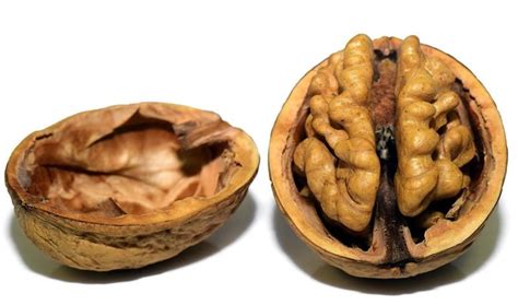 Regular Walnut Consumption Linked To Health And Longevity In Women