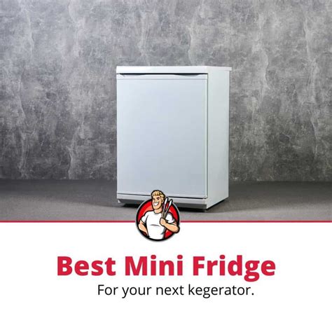 Top 5 Best Mini Fridges For A Kegerator 2023 Review The Grilling Dad