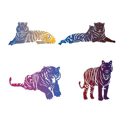 Conjunto plano de tigres en varias poses vector ilustración vector