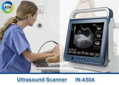 In A A Portable Ultrasound Handheld Device System Ultrasound Scanner