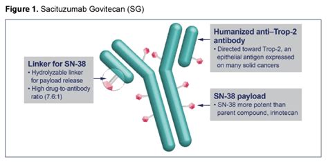 ASCO GU 2021 TROPiCS 04 Study Of Sacituzumab Govitecan In Metastatic