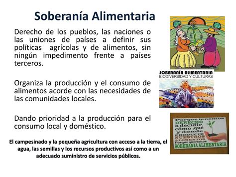 Ppt Seguridad Alimentaria Y Nutricional Powerpoint Presentation Free