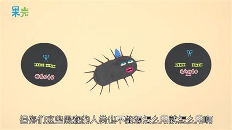 2分钟读懂今年的诺贝尔奖化学奖：基因编辑是什么？ 新浪新闻