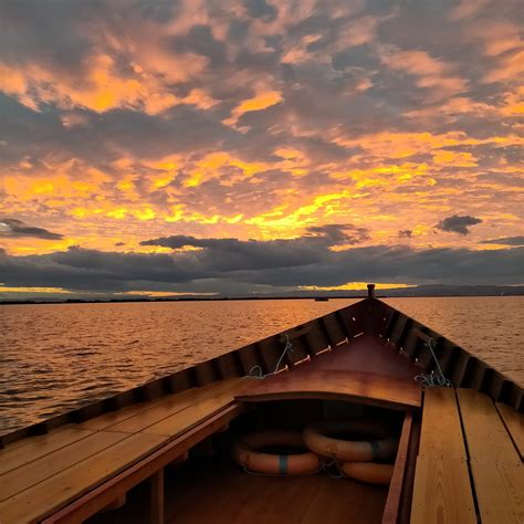 Salidas Paseos En Barca Por La Albufera