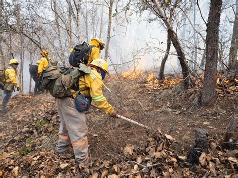 Cinco Personas Fallecidas En Incendio Forestal COESFO