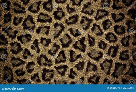 Cheetah Fur Texture Stock Illustration - Image: 43548476