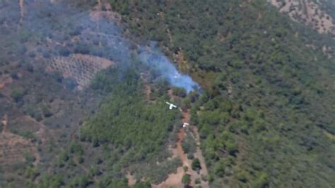 El Infoca Logra Extinguir El Incendio Forestal Declarado En La Sierra