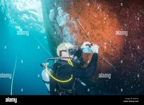 Limpet mine hi-res stock photography and images - Alamy