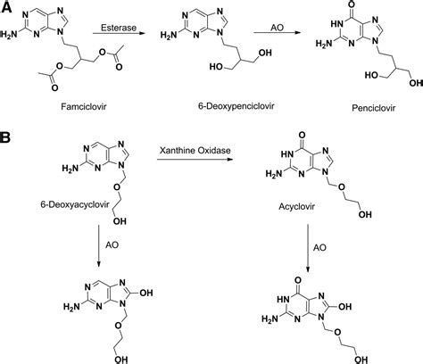 Milestones In The Discovery Of Antiviral Agents