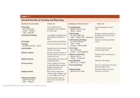 Selected Branches of Anatomy and Physiology