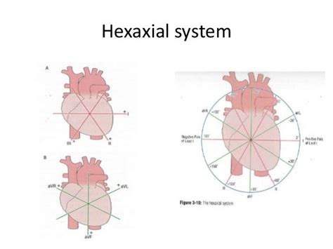 Introduction to ecg