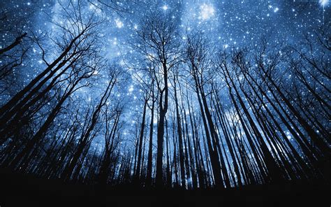 Beautiful Starry Night Sky Wallpapers Top Free Beautiful Starry Night