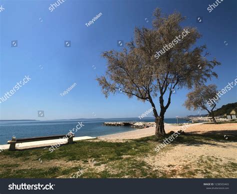 Trstenik Znjan Beach Split Croatia Stock Photo 1238503465 | Shutterstock