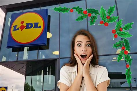 Lidl Aixafa Shein Amb Laparell Que Et Vindrà De Luxe Aquest Nadal