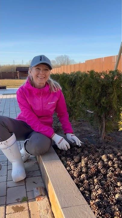 Мульчируем туи шишками. #свойдом #туи #шишка #мульча - YouTube