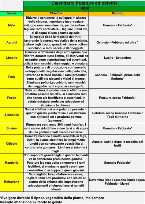 Calendario Potatura Degli Alberi Da Frutto Palmaviva Trong