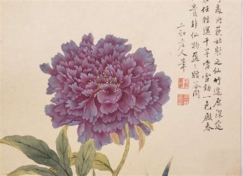 Chinese Painting Flowers