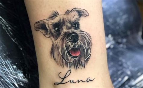 19 Awesome Schnauzer Tattoo Ideas Page 3 Of 5 The Dogman