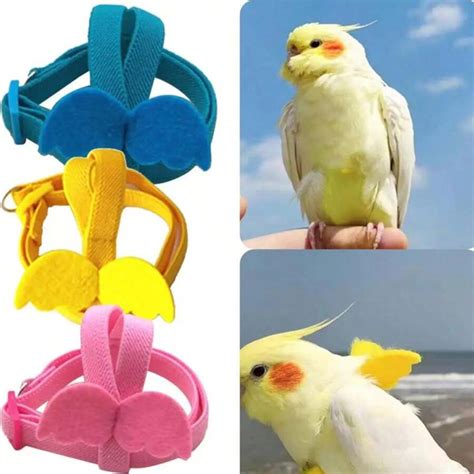 Parrot Bird Harness Leash Outdoor Flying Traction Straps Band